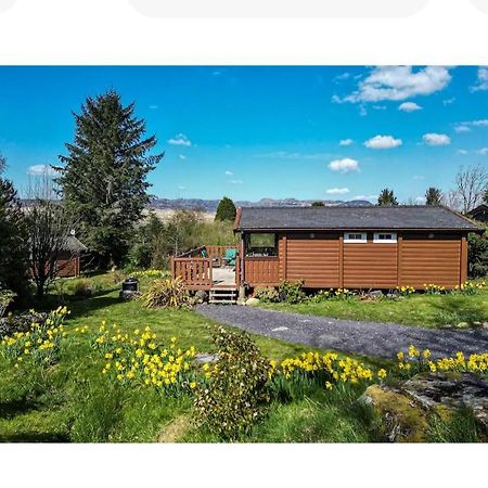Cosy Cabin In Snowdonia With Views Wi-Fi Dog Friendly & Parking Trawsfynydd Exterior foto