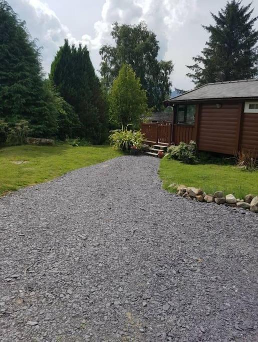Cosy Cabin In Snowdonia With Views Wi-Fi Dog Friendly & Parking Trawsfynydd Exterior foto