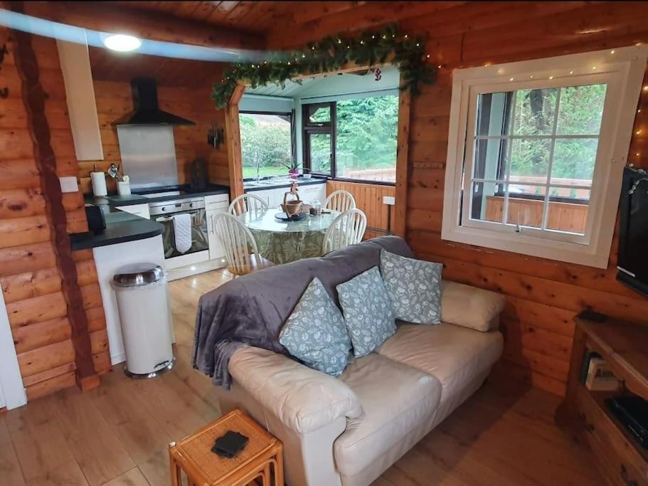 Cosy Cabin In Snowdonia With Views Wi-Fi Dog Friendly & Parking Trawsfynydd Exterior foto