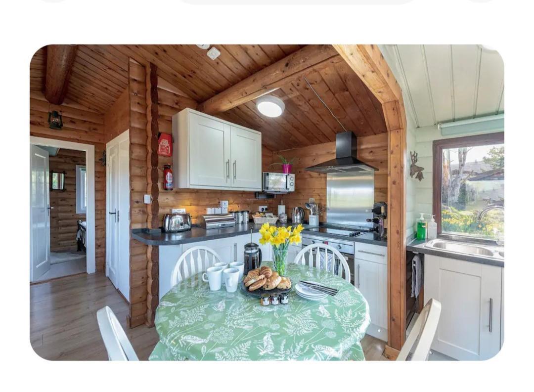Cosy Cabin In Snowdonia With Views Wi-Fi Dog Friendly & Parking Trawsfynydd Exterior foto